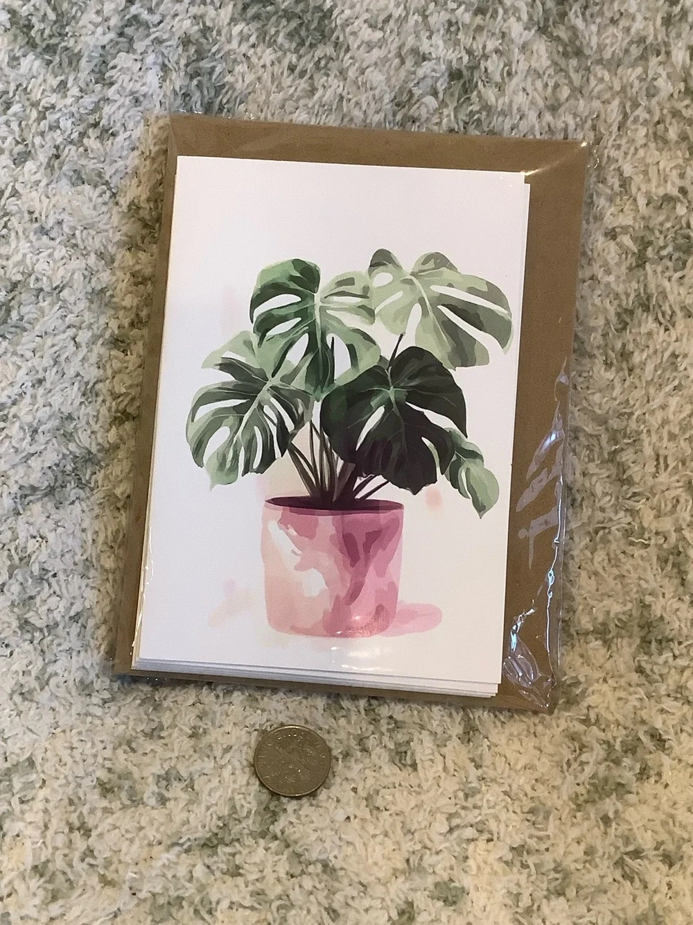 Potted Tropical Plants Note Cards Variety Pack Set of 6 Blank inside NWT HC